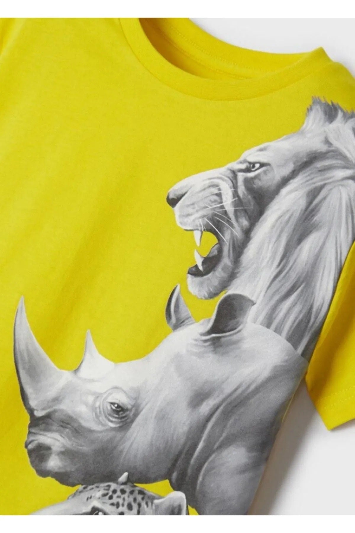 Mayoral erkek çocuk yazlık aslanlı tişört 3003