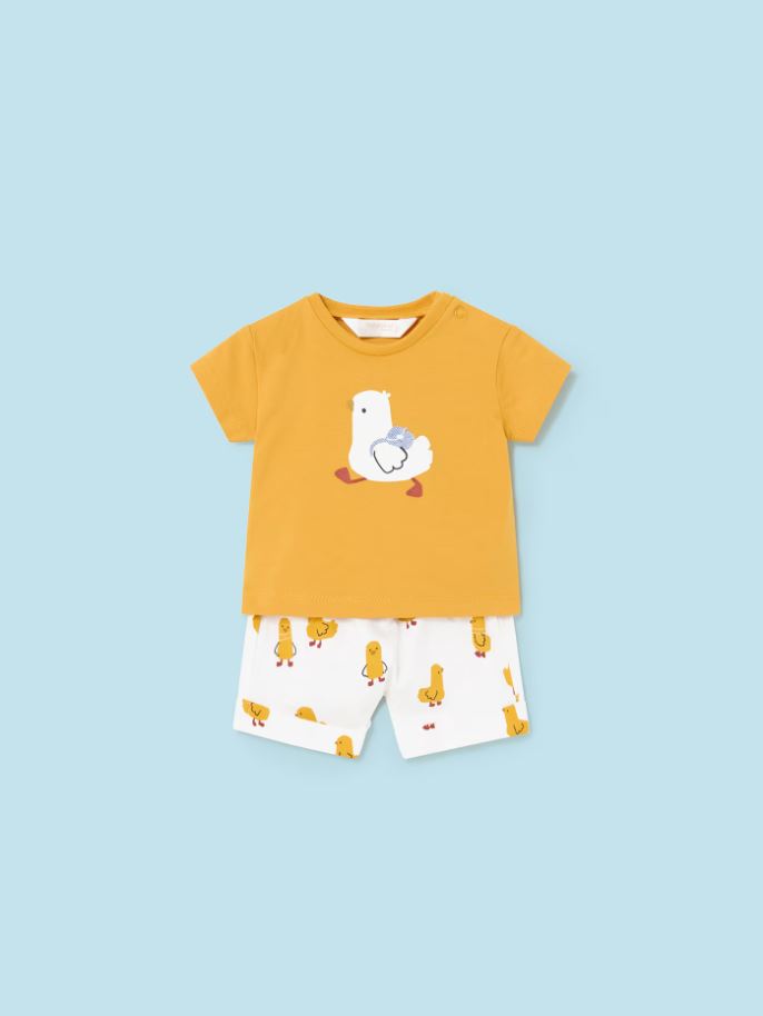 Mayoral erkek bebek  şort tişört 4 lü set  1628