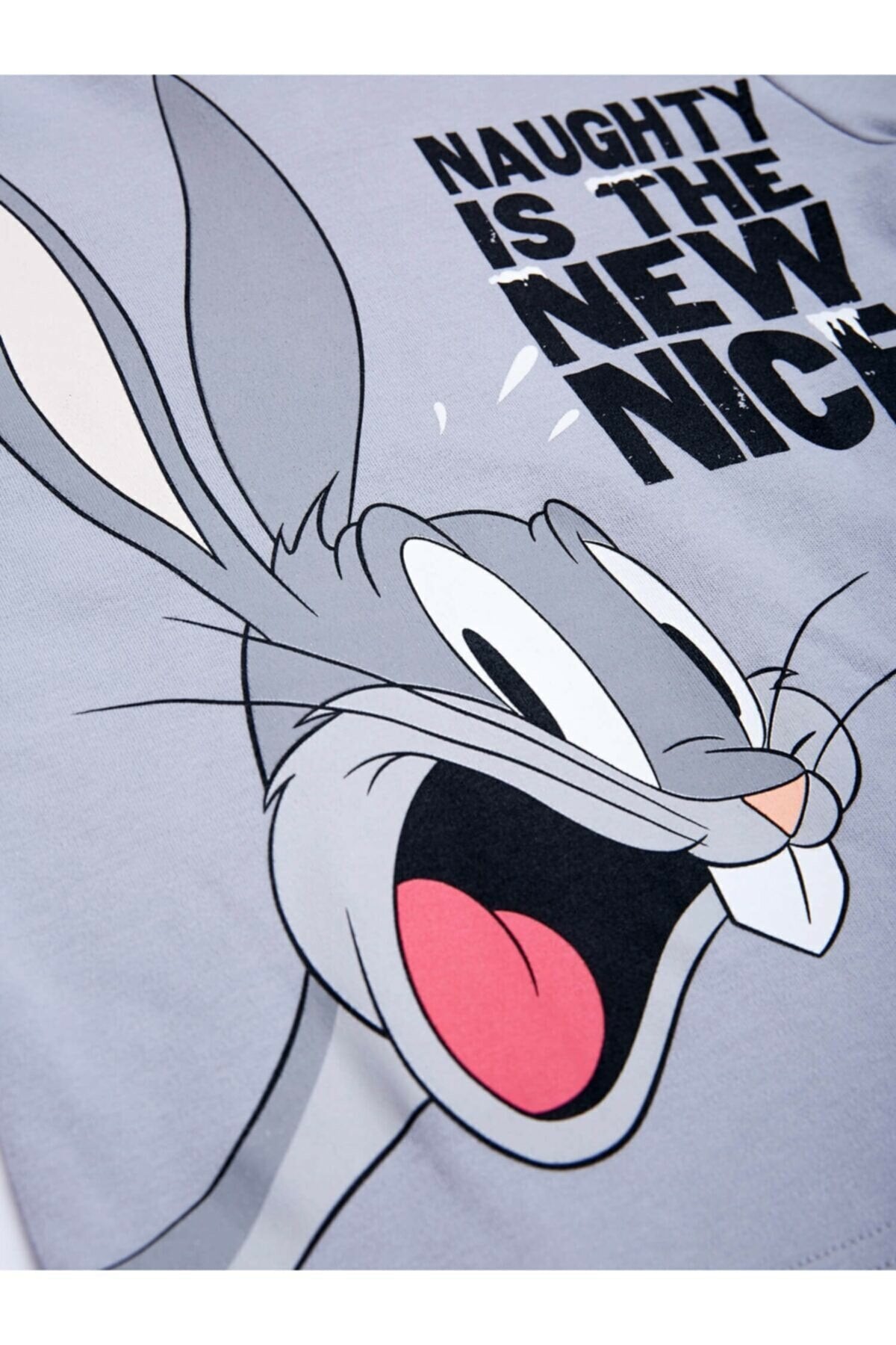 Looney Tunes erkek çocuk pijama takım 18466