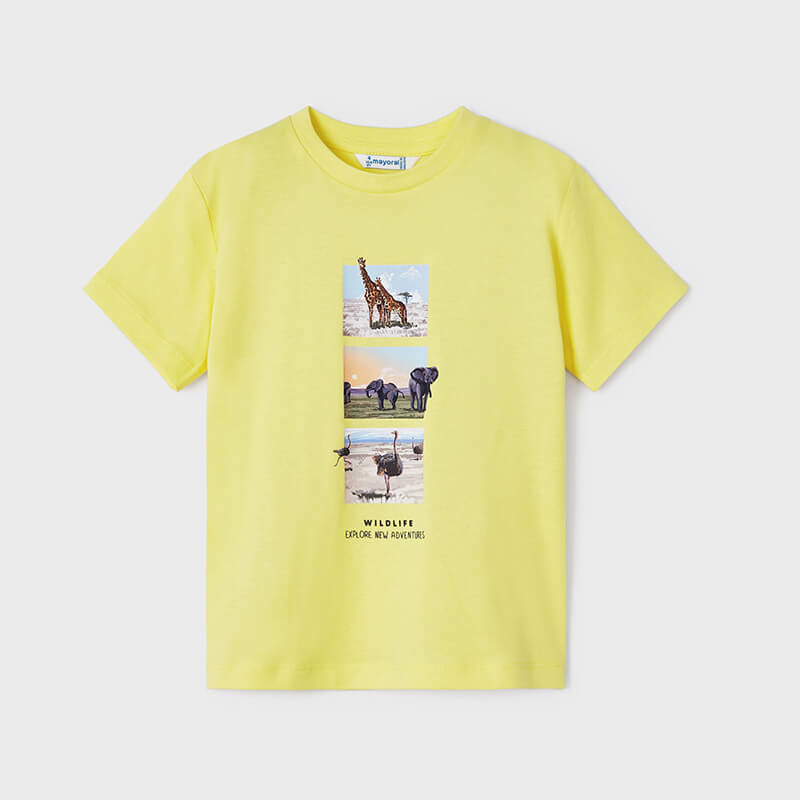 Mayoral Erkek Çocuk 2'li T-shirt Set 3008