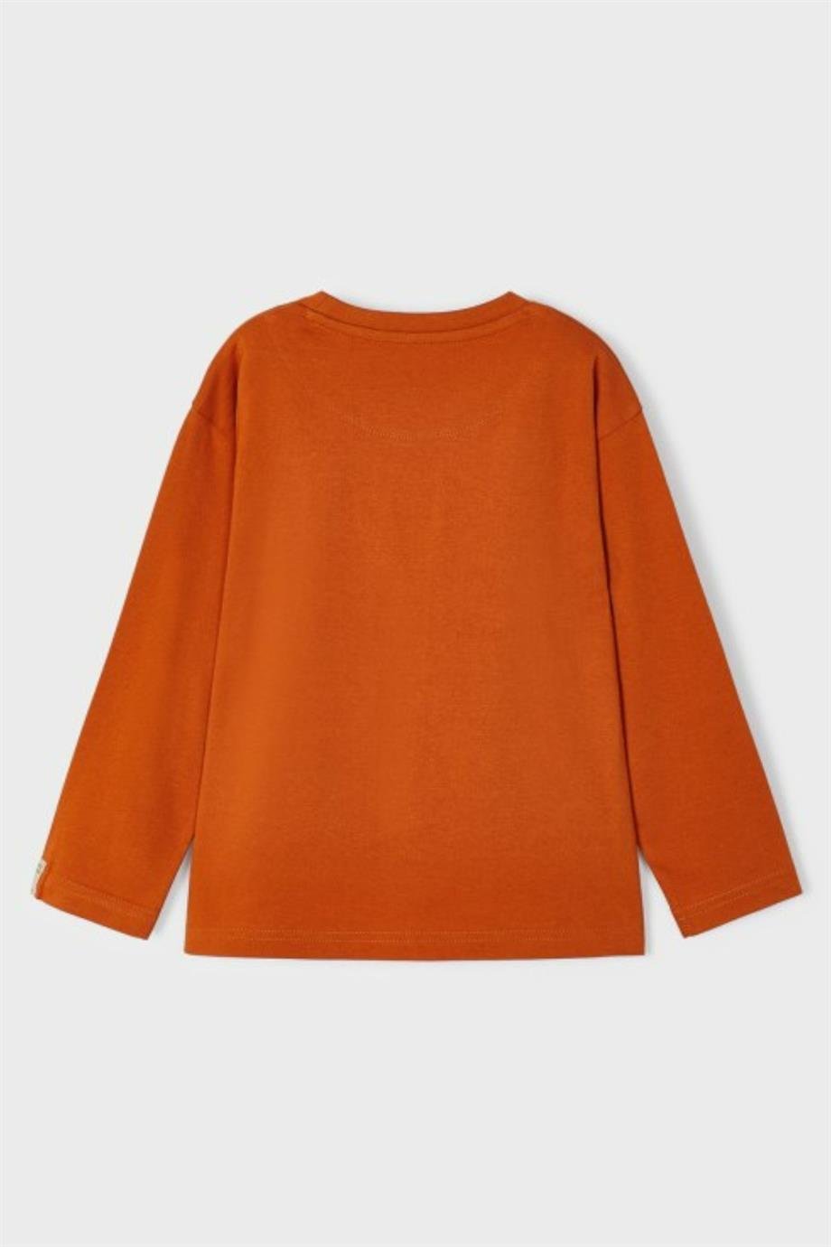 Mayoral erkek  çocuk uzun kol tişört 4020